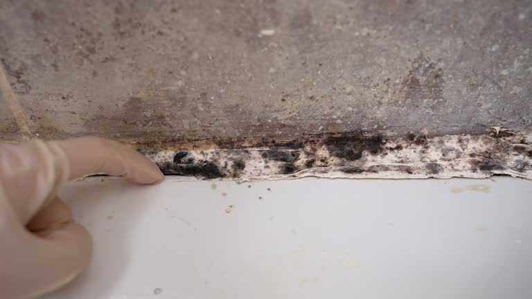 Best Indoor Air Quality Assessment  in Winder, GA